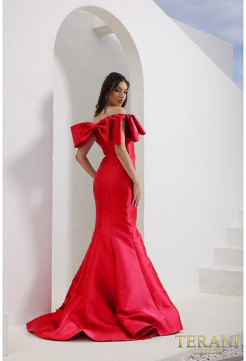 TERANI 241E2407 DRESS