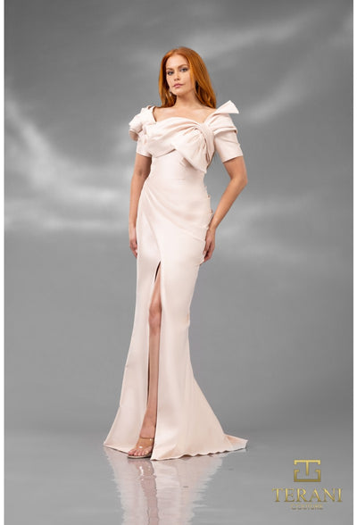 Terani Couture 241E2413 Sophisticated Elegant Formal Long Evening Premium Dress
