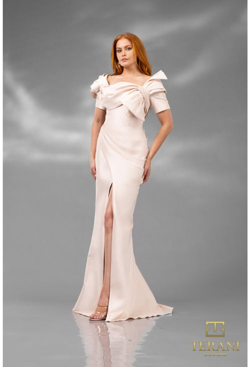 Terani Couture 241E2413 Sophisticated Elegant Formal Long Evening Premium Dress