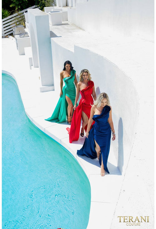 Terani Couture 241E2504 Sophisticated Elegant Formal Red Carpet Premium Dress