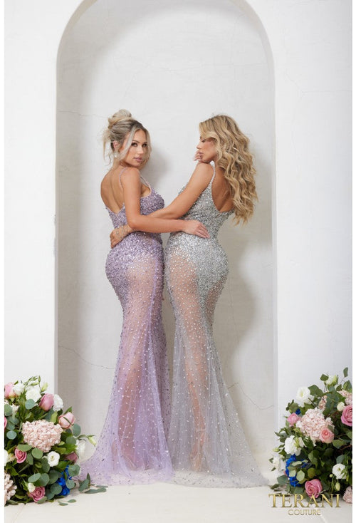 Terani Couture 241P2071 Glamorous Sophisticated Formal Premium Dress