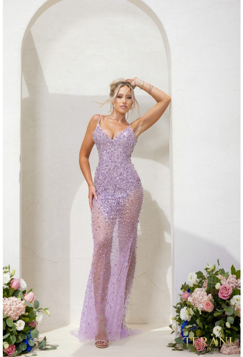 Terani Couture 241P2071 Glamorous Sophisticated Formal Premium Dress