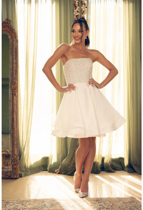 Terani Couture 242C3055 Cocktail Homecoming A-Line Pleated Short Formal Beaded Dress