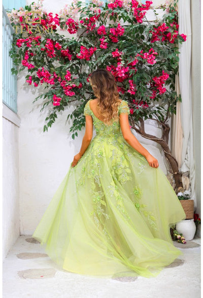 Terani Couture 251P4533 Glamorous Prom BallDress Cap Sleeve Long Formal Organza Dress