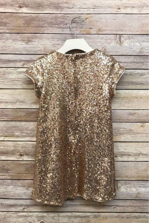 Short Sleeve Sparkle A-Line Dress for Holidays & birthday party by Bella Princess 288