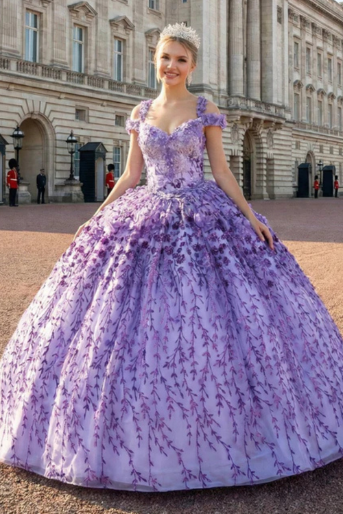 Cold Shoulder 3D Floral Applique Quince Ball Gown