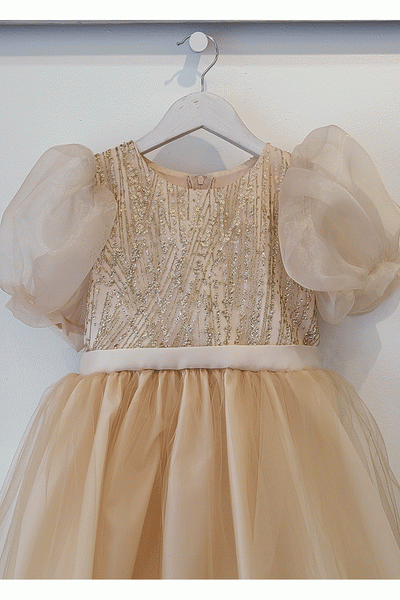 Tulle Dress with Sequins and Puff Sleeves Sweet Party Outfit by Bella Princess 316