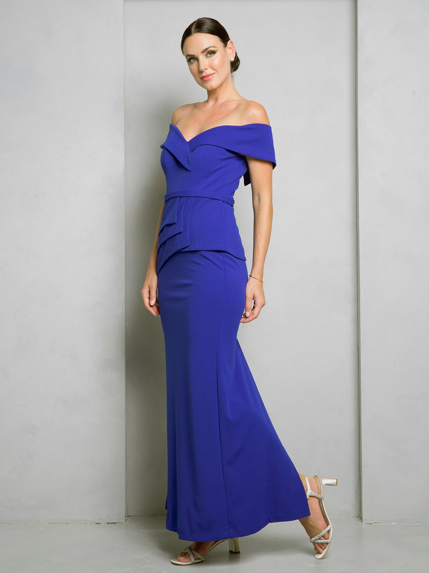 Formal Dresses Long Formal Fitted Evening Dress Royal