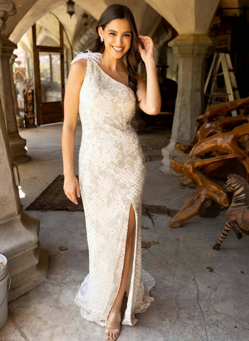 Prom Dresses Long Prom Feather on Shoulders Asymmetrical Dress Nude