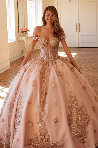 3D Butterfly Off Shoulder Ball Gown by Juliet JT1485J - Quinceanera Dresses