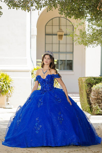 3D Butterfly Off Shoulder Ball Gown by Bella Princess PQ1028