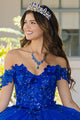 3D Butterfly Off Shoulder Ball Gown by Bella Princess PQ1028