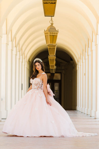 3D Butterfly Sheer Corset Ball Gown by Bella Princess PQ1032
