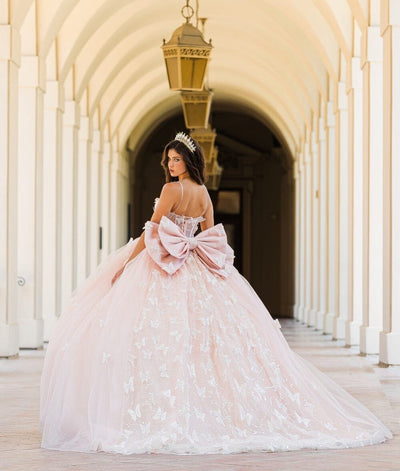 3D Butterfly Sheer Corset Ball Gown by Bella Princess PQ1032