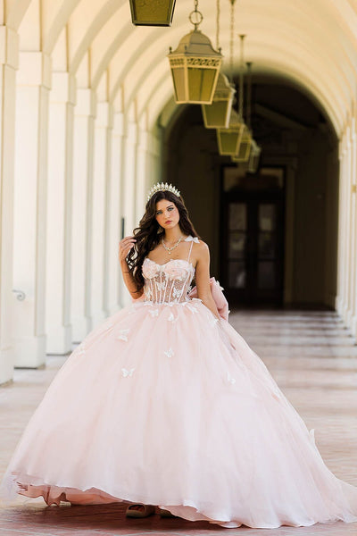 3D Butterfly Sheer Corset Ball Gown by Bella Princess PQ1032