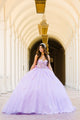3D Butterfly Sheer Corset Ball Gown by Bella Princess PQ1032
