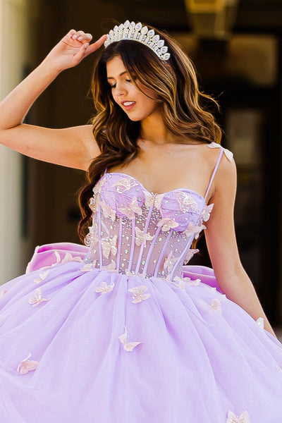 3D Butterfly Sheer Corset Ball Gown by Bella Princess PQ1032