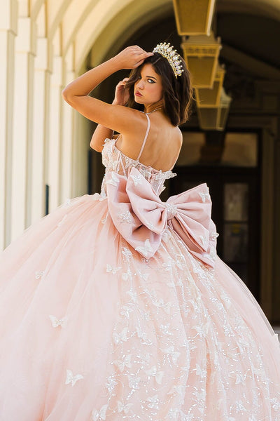 3D Butterfly Sheer Corset Ball Gown by Bella Princess PQ1032