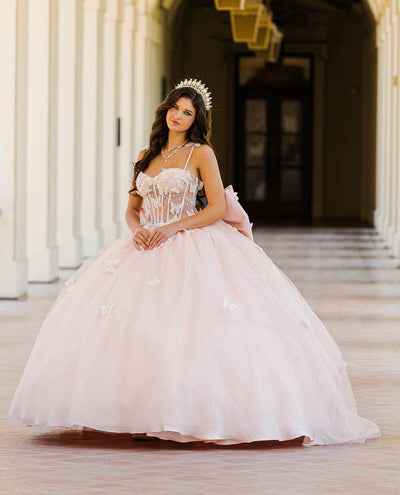 3D Butterfly Sheer Corset Ball Gown by Bella Princess PQ1032
