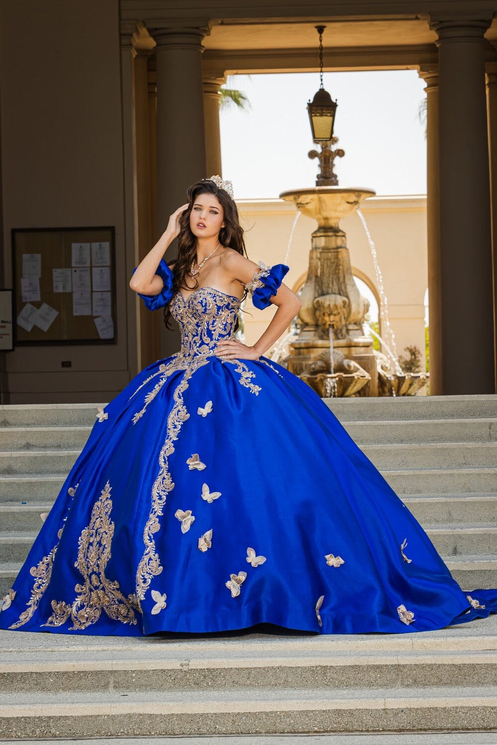 3D Butterfly Sweetheart Ball Gown by Bella Princess PQ1019