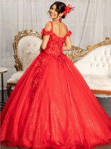 3D Floral Cold Shoulder Ball Gown by Elizabeth K GL1988
