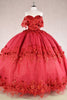 3D Floral Off Shoulder Cape Ball Gown by Elizabeth K GL3179 - Quinceanera Dresses