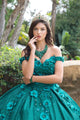 3D Floral Off Shoulder Ball Gown by Bella Princess PQ1002