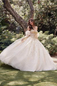 3D Floral Puff Sleeve Ball Gown by Juliet JT1465H - Quinceanera Dresses