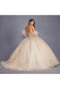 3D Floral Puff Sleeve Ball Gown by Juliet JT1465H - Quinceanera Dresses