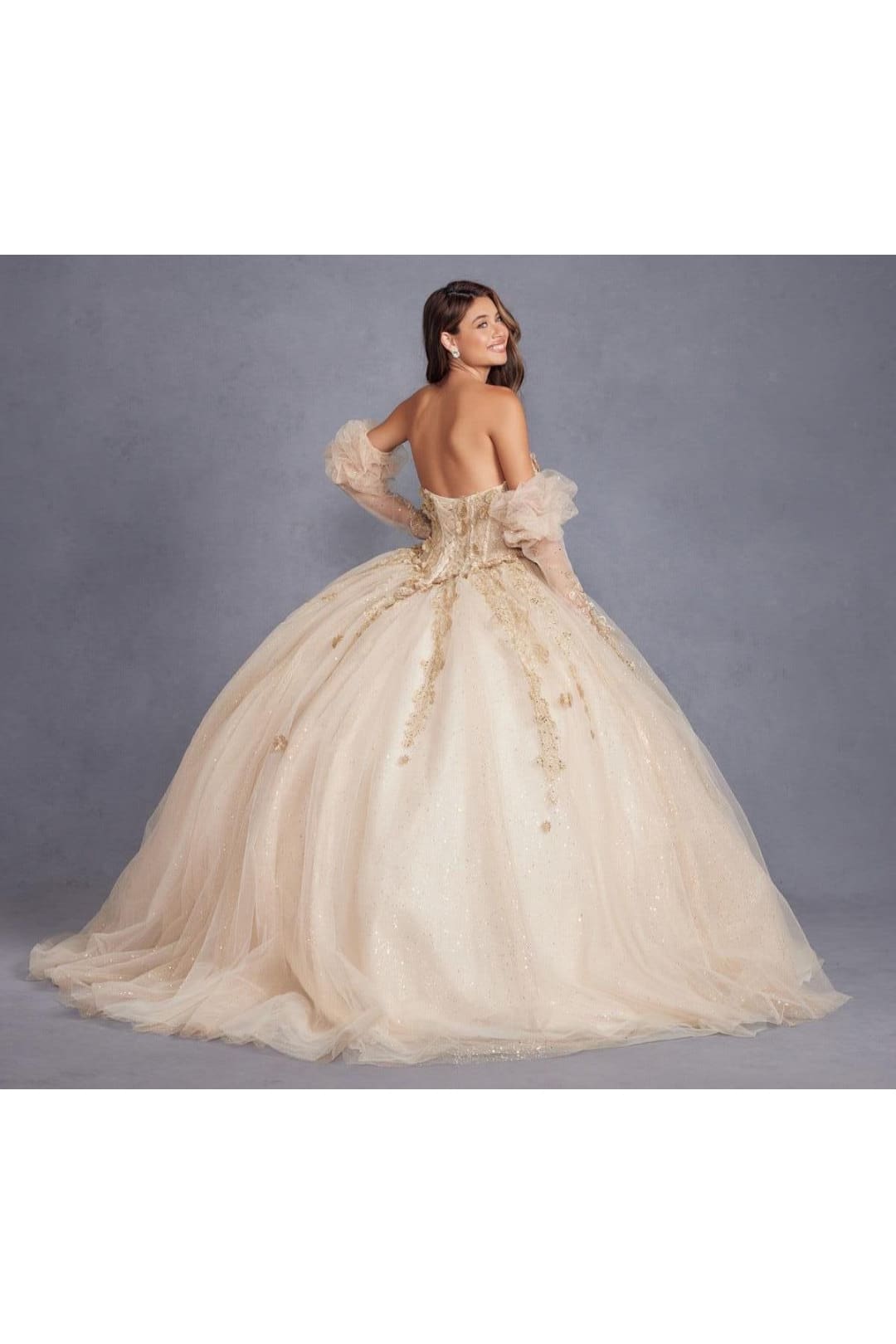 3D Floral Puff Sleeve Ball Gown by Juliet JT1465H - Quinceanera Dresses