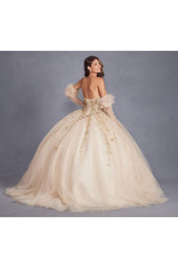 3D Floral Puff Sleeve Ball Gown by Juliet JT1465H - Quinceanera Dresses