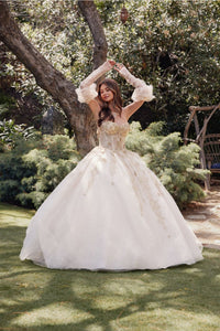 3D Floral Puff Sleeve Ball Gown by Juliet JT1465H - Champagne / 4 - Quinceanera Dresses