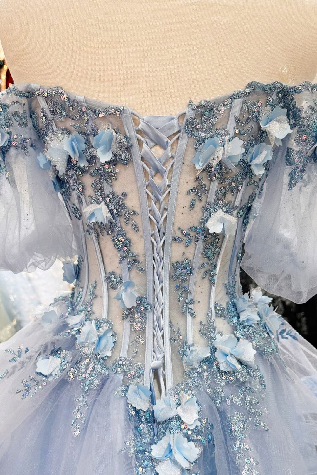 3D Floral Sheer Bodice Ball Gown by Elizabeth K GL3180 - Quinceanera Dresses
