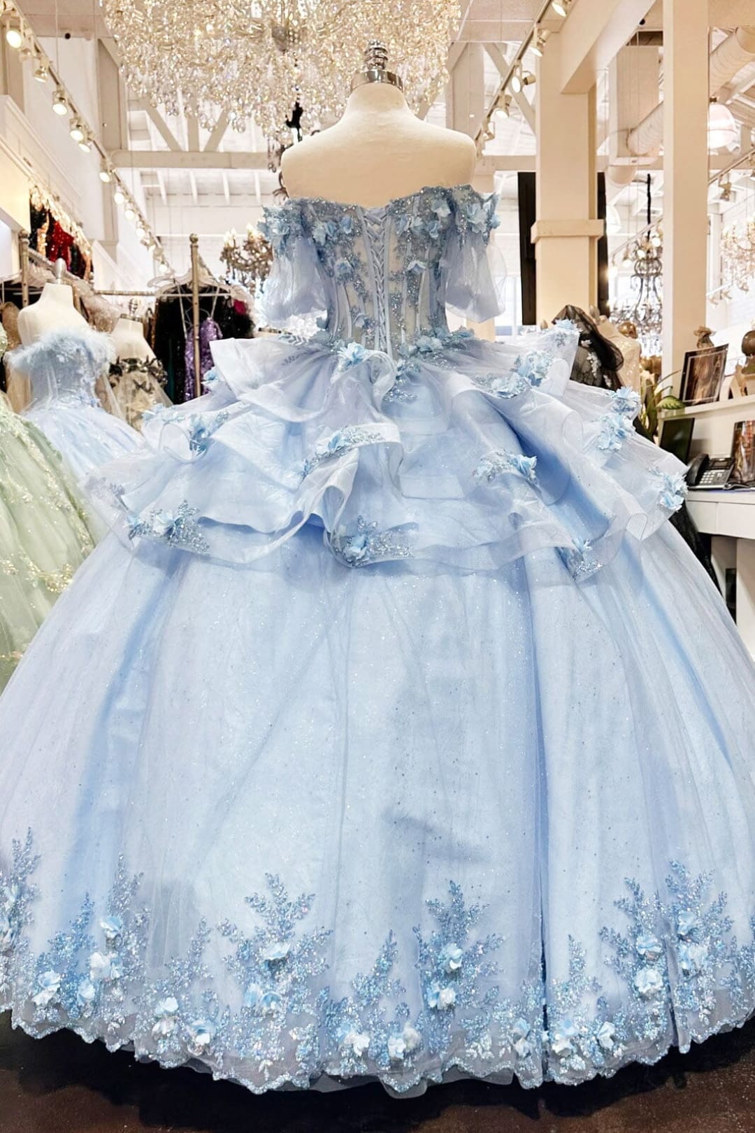 3D Floral Sheer Bodice Ball Gown by Elizabeth K GL3180 - Quinceanera Dresses