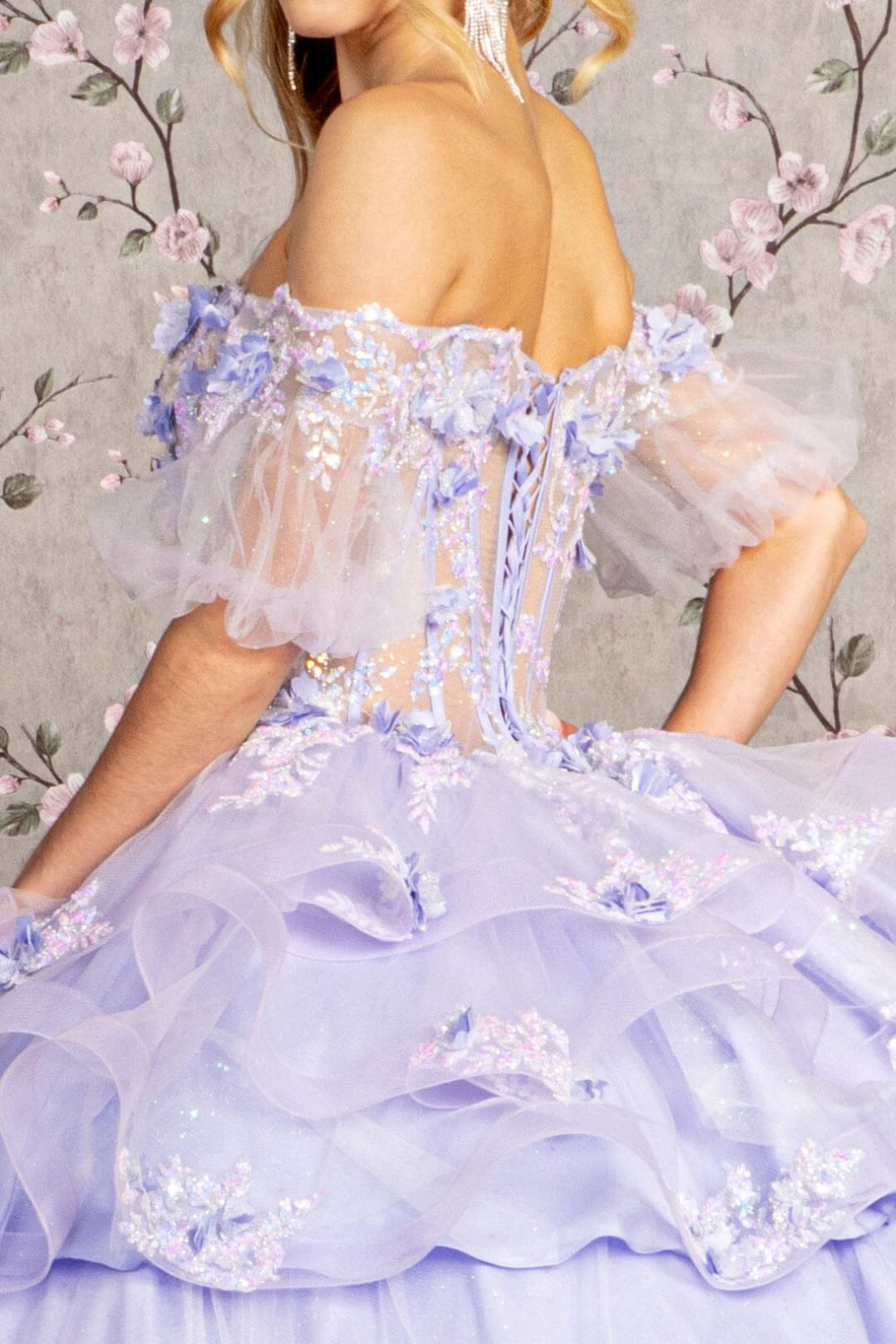 3D Floral Sheer Bodice Ball Gown by Elizabeth K GL3180 - Quinceanera Dresses