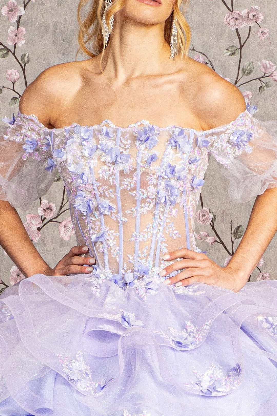 3D Floral Sheer Bodice Ball Gown by Elizabeth K GL3180 - Quinceanera Dresses
