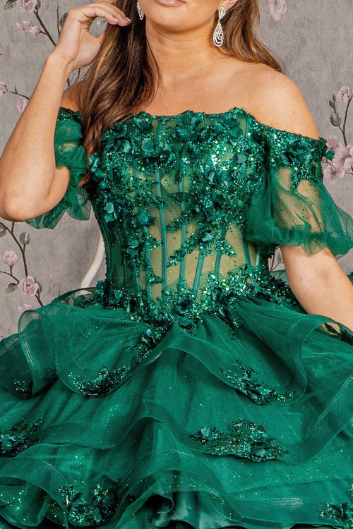 3D Floral Sheer Bodice Ball Gown by Elizabeth K GL3180 - Quinceanera Dresses
