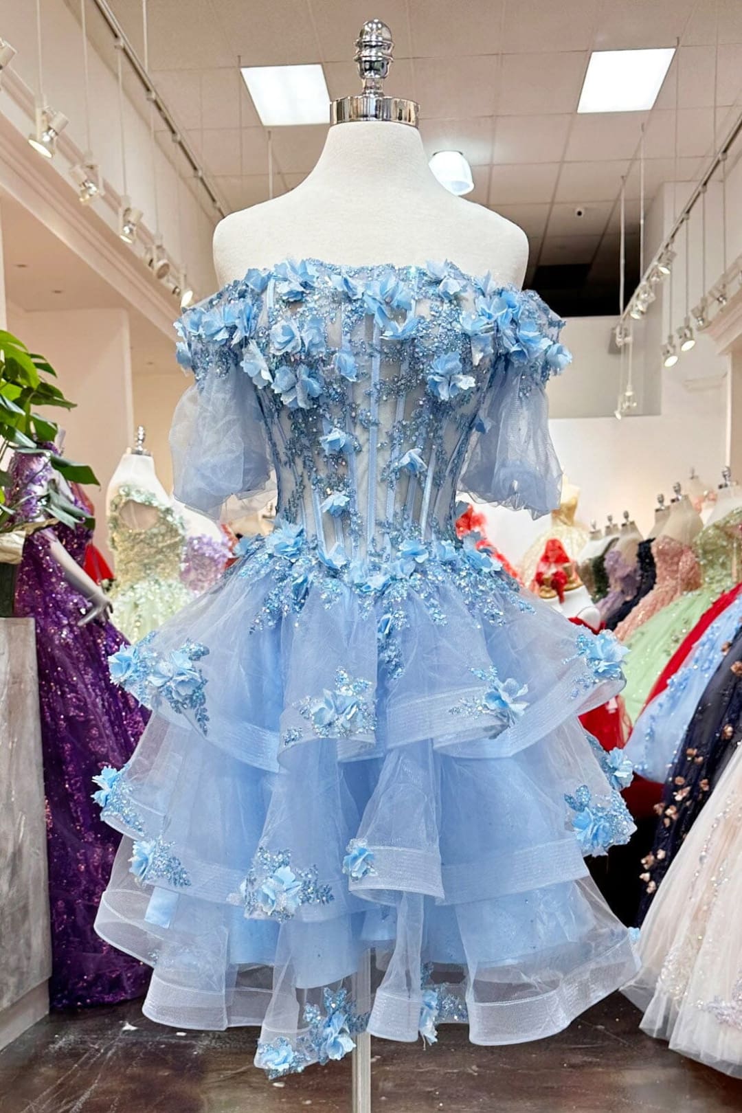 3D Floral Sheer Bodice Ball Gown by Elizabeth K GL3180 - Quinceanera Dresses