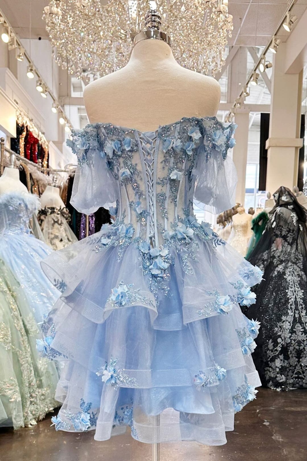 3D Floral Sheer Bodice Ball Gown by Elizabeth K GL3180 - Quinceanera Dresses