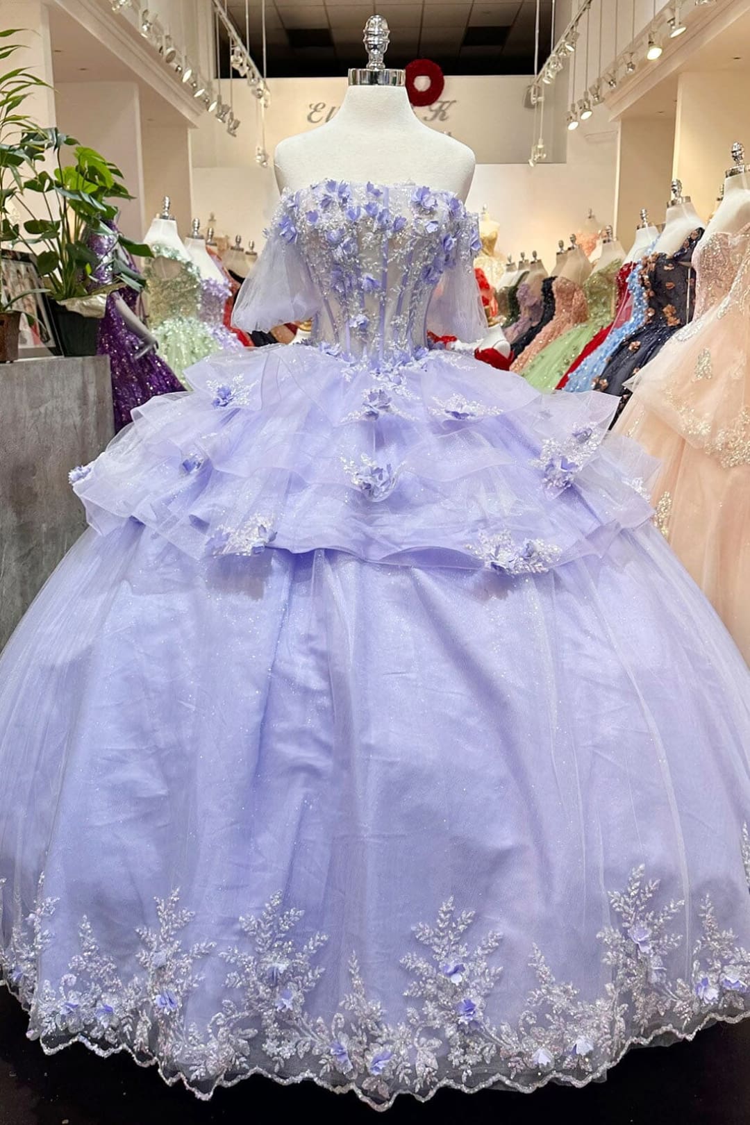 3D Floral Sheer Bodice Ball Gown by Elizabeth K GL3180 - Quinceanera Dresses