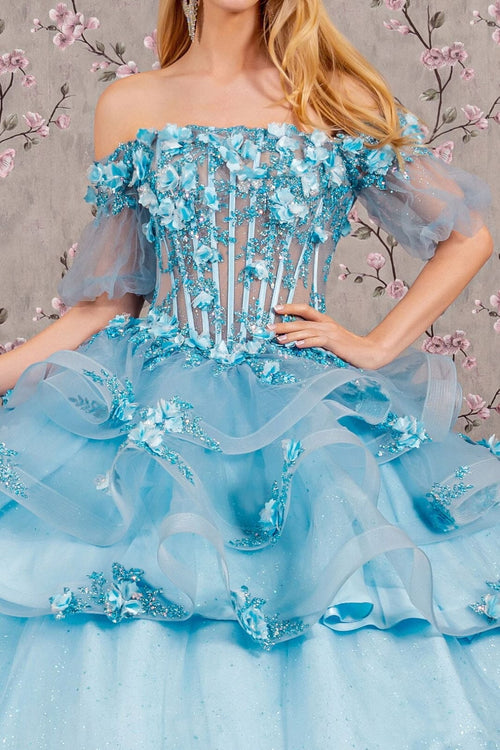 3D Floral Sheer Bodice Ball Gown by Elizabeth K GL3180 - Quinceanera Dresses