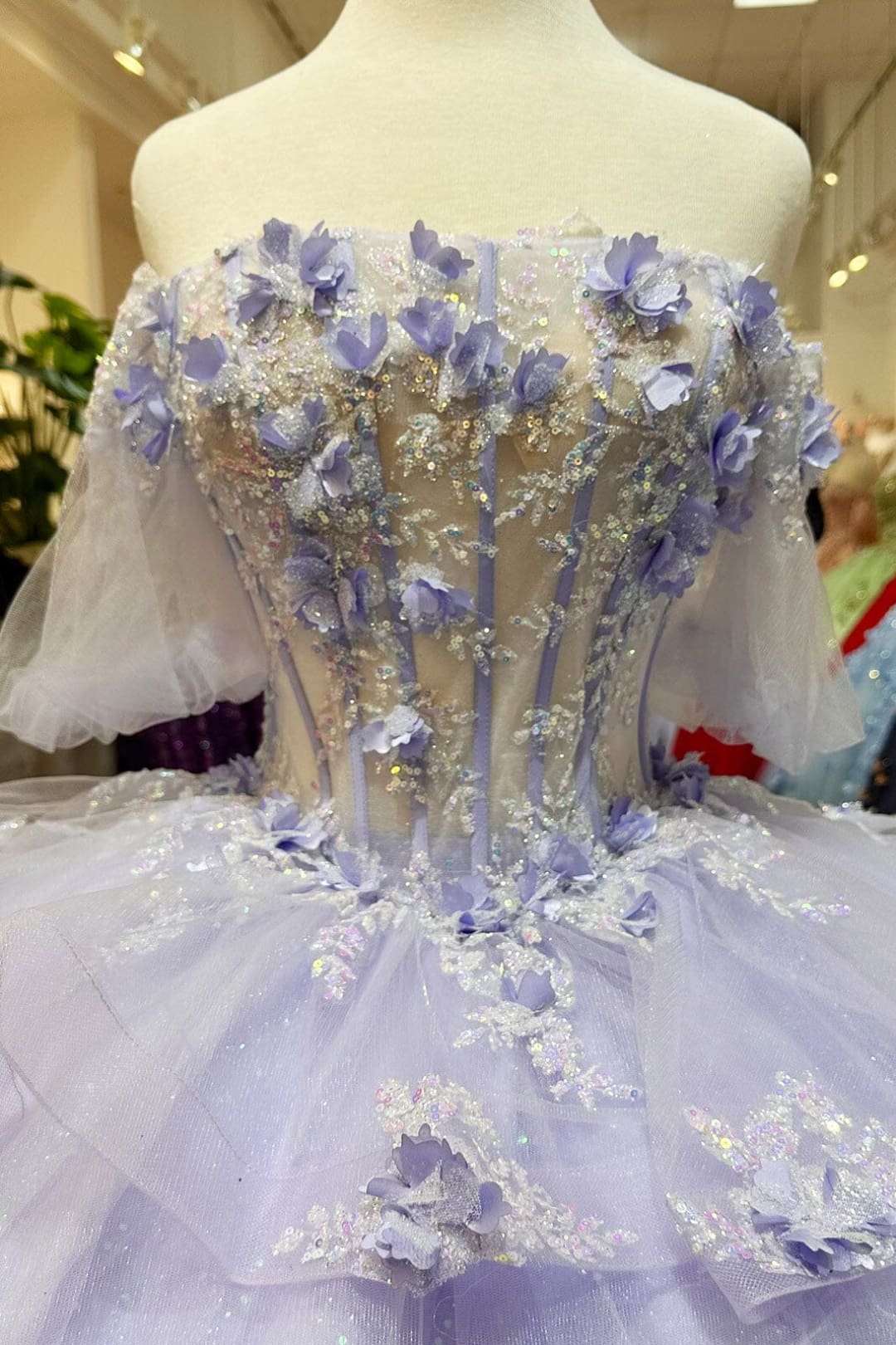 3D Floral Sheer Bodice Ball Gown by Elizabeth K GL3180 - Quinceanera Dresses