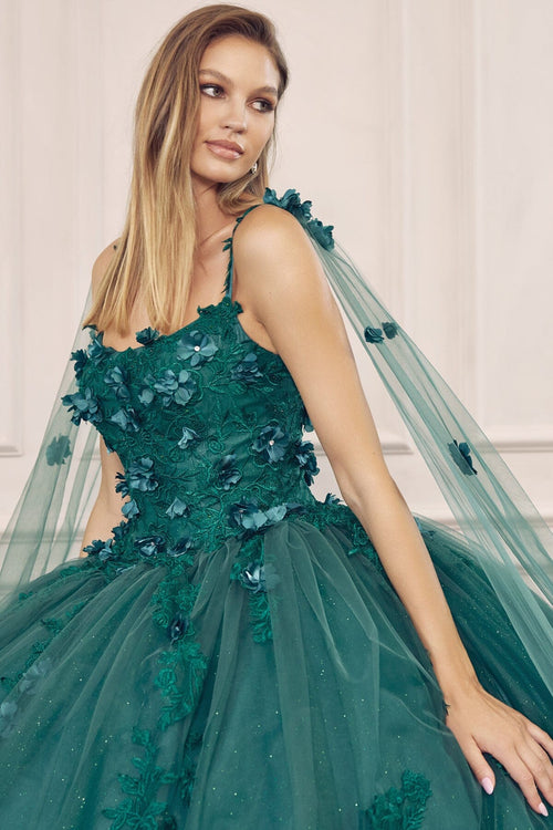 Juliet 1436 3D Floral Applique Glitter Tulle Cape Dress