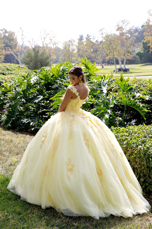 3D Floral Sleeveless Cape Ball Gown by Bella Princess PQ1009