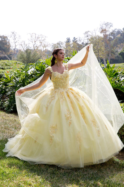 3D Floral Sleeveless Cape Ball Gown by Bella Princess PQ1009
