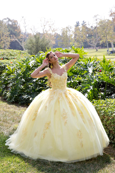 3D Floral Sleeveless Cape Ball Gown by Bella Princess PQ1009