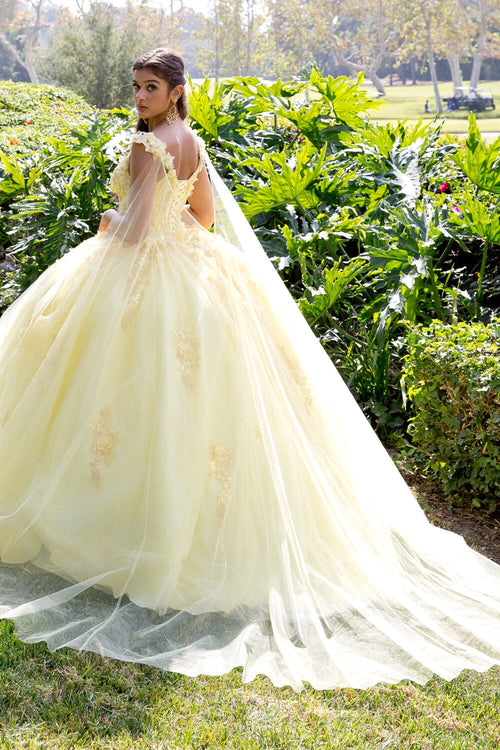 3D Floral Sleeveless Cape Ball Gown by Bella Princess PQ1009