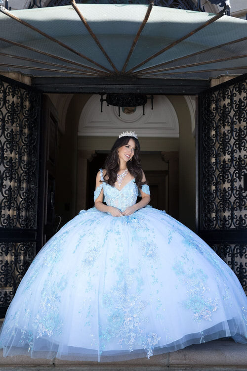 3D Floral Sleeveless Corset Ball Gown by Bella Princess PQ1048