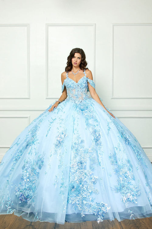 3D Floral Sleeveless Corset Ball Gown by Bella Princess PQ1048