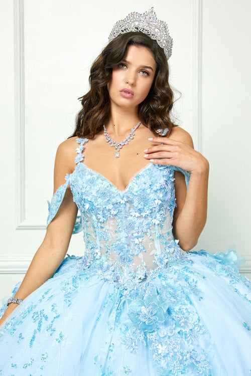 3D Floral Sleeveless Corset Ball Gown by Bella Princess PQ1048